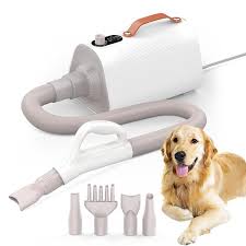 The Influence of Noise in Dog Blow Dryers: Options to consider post thumbnail image